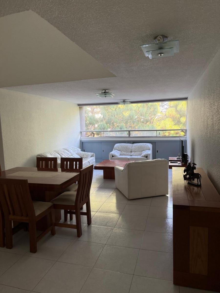 Sala y comedor con luz natural